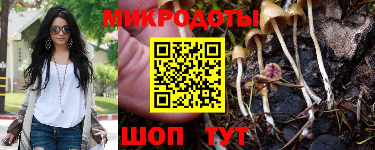 Абакан  Псилоцибиновые грибы Psilocybine cubensis  Вход с VPN  Псилоцибиновые грибы мухоморы 
